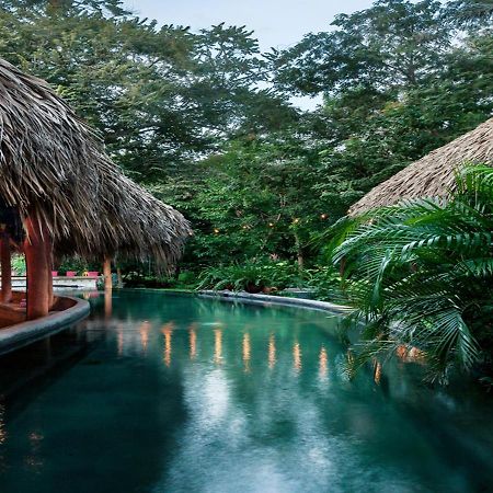 The Space Jungle Oasis San Juan del Sur Exteriér fotografie